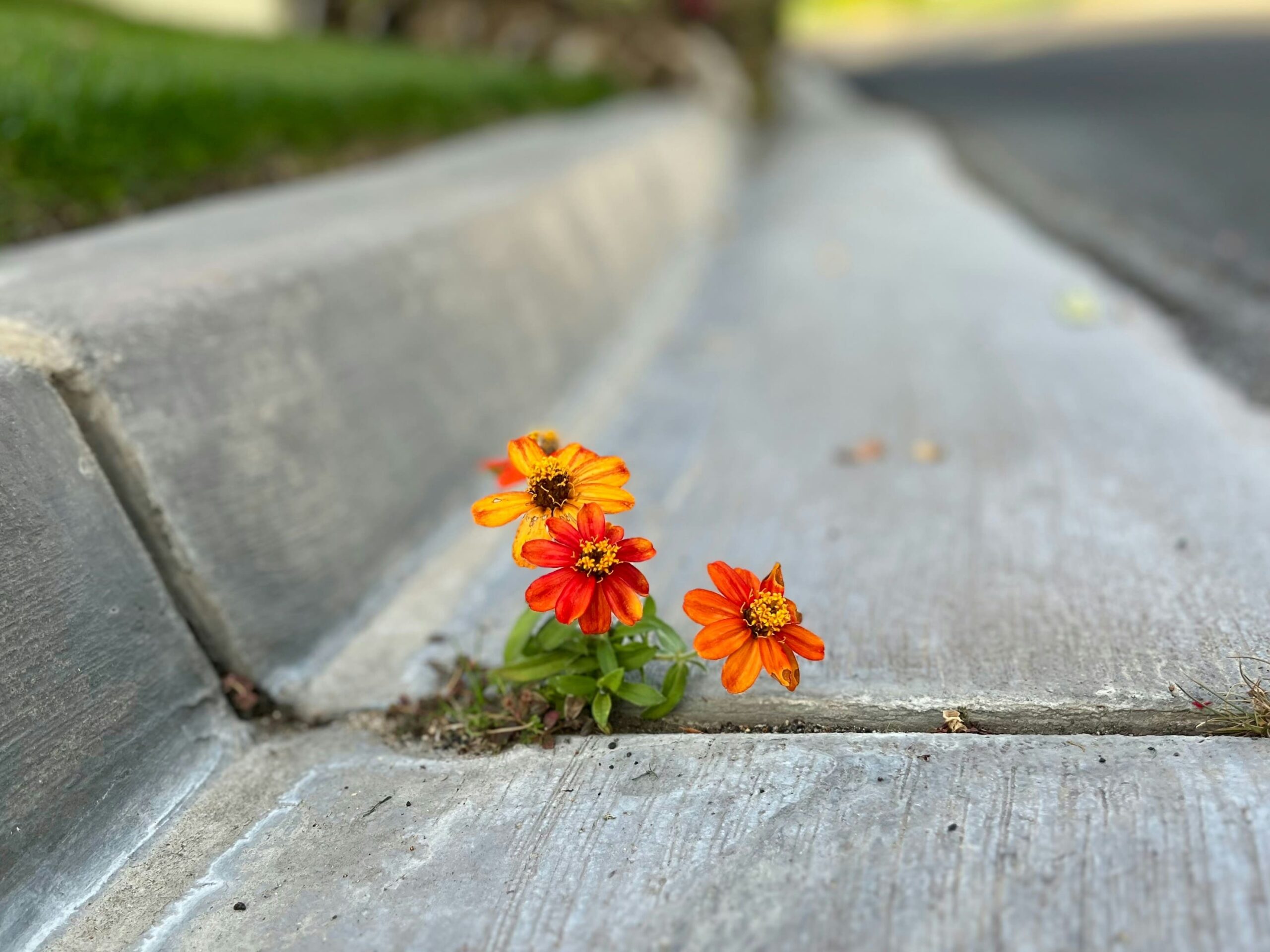 Feeling Stuck? The Real Reason Might Be Comfort
